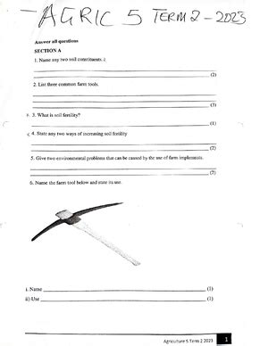 How to Write Context for an Essay: A Multi-Layered Exploration